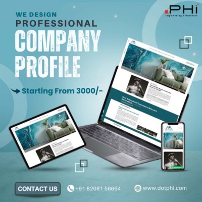 Professional Company Profile